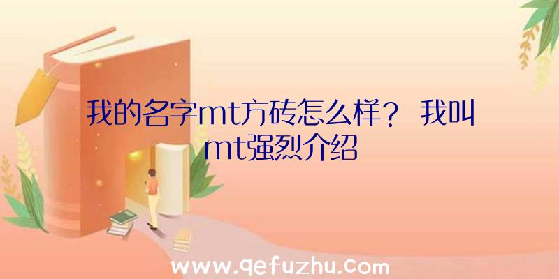 我的名字mt方砖怎么样？